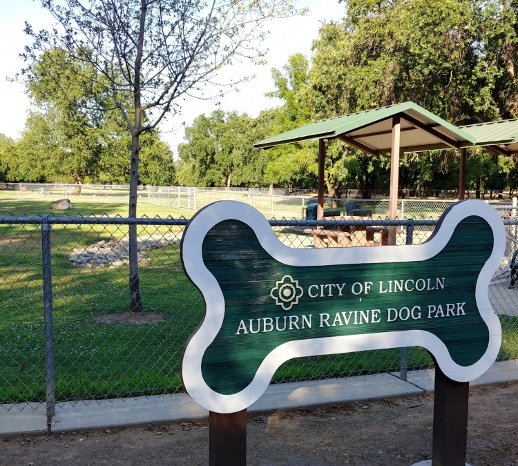 Auburn Ravine Dog Park (Lincoln,&nbspCA)